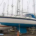 ashore-fwd-ss
