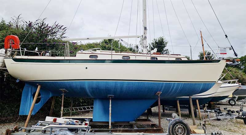 Ashore 2023